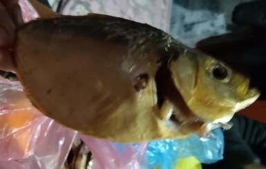 Мелитопольцу продали копченую рыбу с личинками