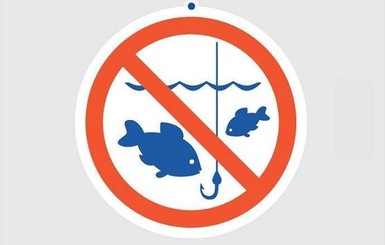 С 1 апреля в Украине запрещен вылов рыбы