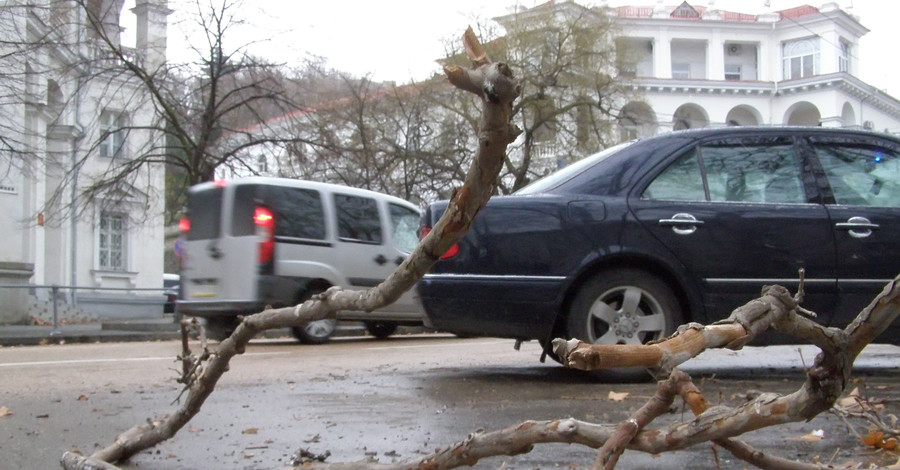 Киевлян предупредили о сильном ветре и заморозках
