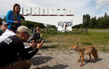 На волне интереса в Чернобыле ожидают сто тысяч туристов до конца года