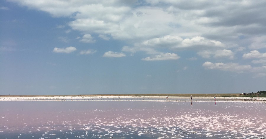 Розовое озеро Геническое: почему туда нужно ехать?