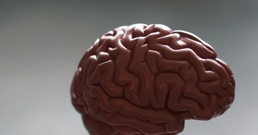 Тренировка для мозга: 7 способов стать умнее