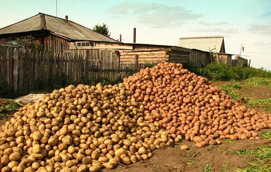 Супрун назвала пользу и правильный способ приготовления картофеля