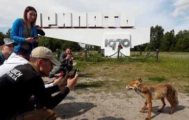 В Чернобыль приехало рекордное количество туристов