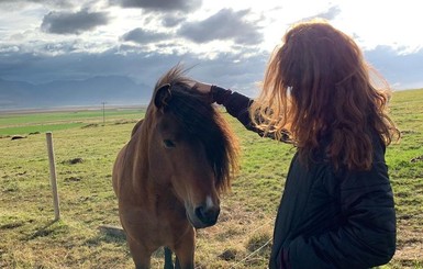 В Исландии прошла вечеринка пони, на которую их привезли на минивэнах
