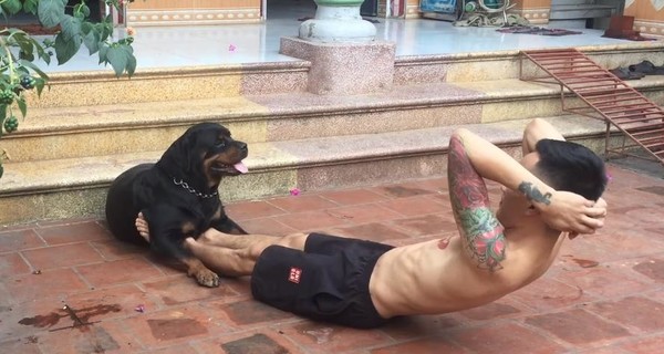 Собака вьетнамца держит его ноги, пока тот качает пресс