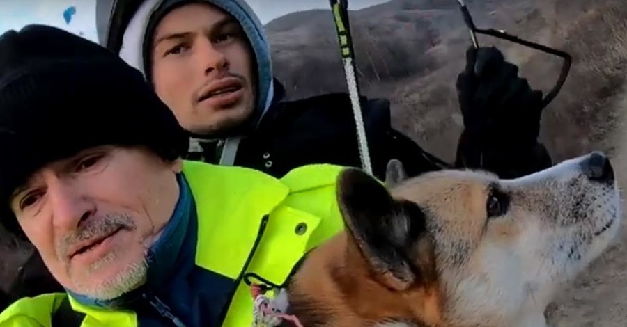 Лайка установила рекорд Украины, став первой собакой на параплане