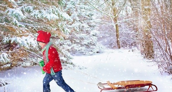 В Запорожье показали, как дети катаются на санках без снега