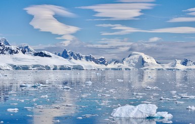 Впервые в истории Антарктики зафиксировали +20 градусов