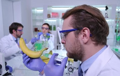 Почему мы боимся бананов с коронавирусом и отказываемся от прививок