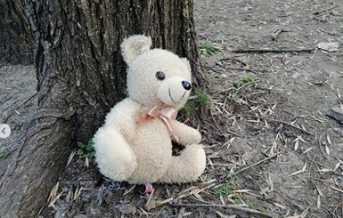 Запорожцы собираются почтить память девочки, погибшей после падения на нее деревянного медведя