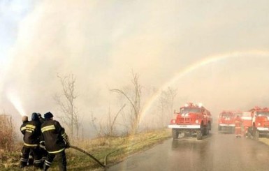 Потушить пожары на Житомирщине помог дождь