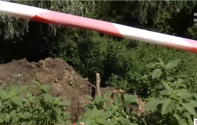 В Сумской области на 13-летнего мальчика рухнула ветка: ребенок погиб