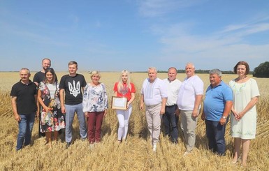 В Черниговской области собрали рекордный урожай пшеницы