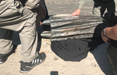 Вандалы осквернили памятник жертвам Голодомора - девочку с колосками 