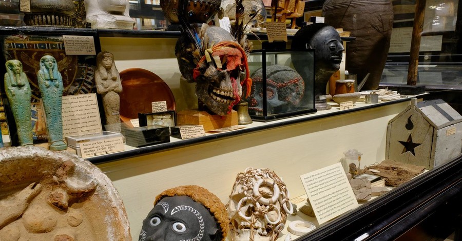Филиал Оксфордского музея убрал из экспозиции засушенные человеческие головы из-за расизма