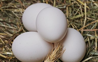 В Латвии нашли сальмонеллу в украинских яйцах: продукцию везли в Литву