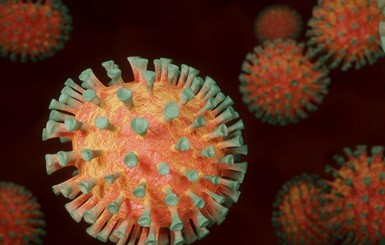 Новый штамм коронавируса: откуда он появился и чем опасен