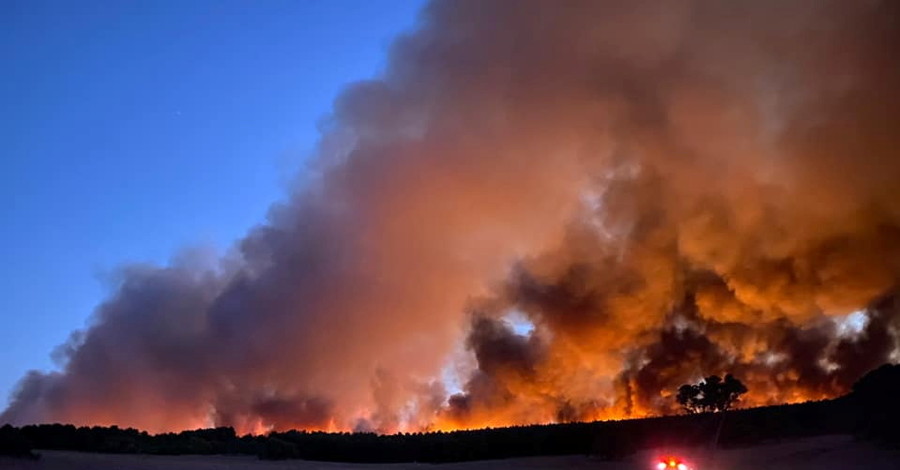 Австралия снова в огне: на западном побережье бушует лесной пожар