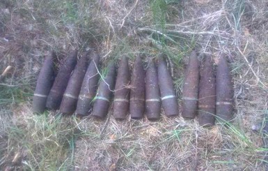 В Житомирской области мужчина во время сбора ягод в лесу нашел 10 снарядов 