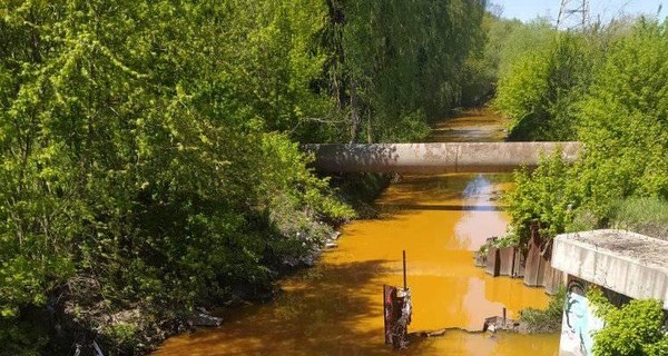 В Киеве специалисты пытаются выяснить, что окрасило реку Лыбидь в желтый цвет