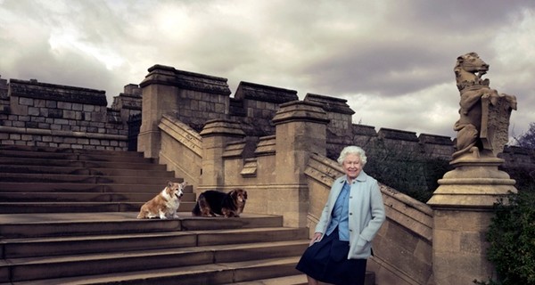Королева Елизавета II потеряла щенка, подаренного ей после болезни принца Филиппа