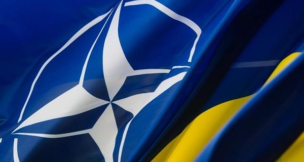 Украина станет членом НАТО, пройдя процедуру ПДЧ, - коммюнике саммита Альянса