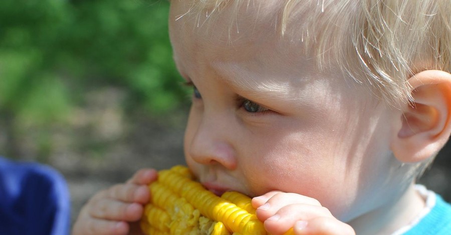 Молодая кукуруза: польза и вред для здоровья мужчин и женщин