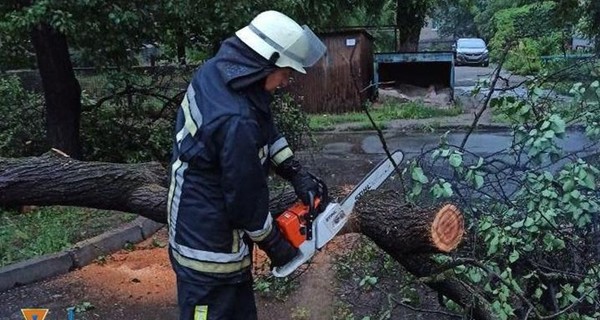 На Киевщине из-за непогоды погибли два человека, еще один - в больнице