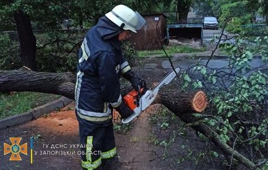 На Киевщине из-за непогоды погибли два человека, еще один - в больнице