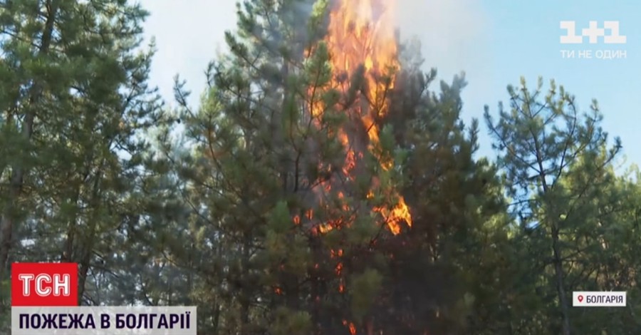 В Болгарии горит заповедная гора Сакар