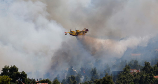МИД: Пострадавших украинцев от пожаров в Албании и Греции нет