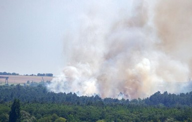 Спасатели рассказали, каким областям грозят пожары 