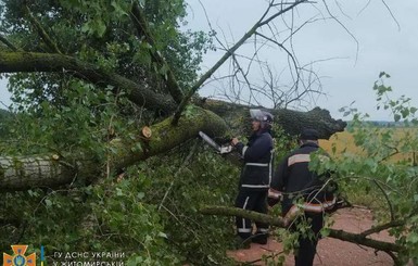 Непогода ударила по трем областям Украины