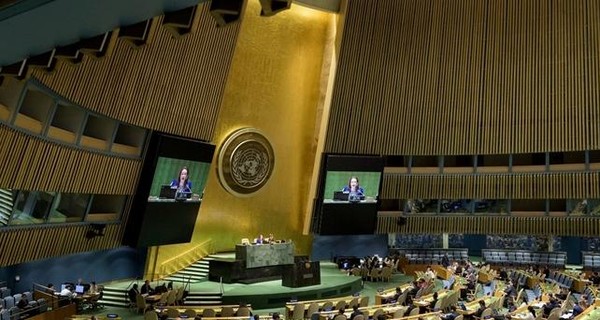 ООН включила обсуждение оккупации украинских территорий в повестку Генассамблеи