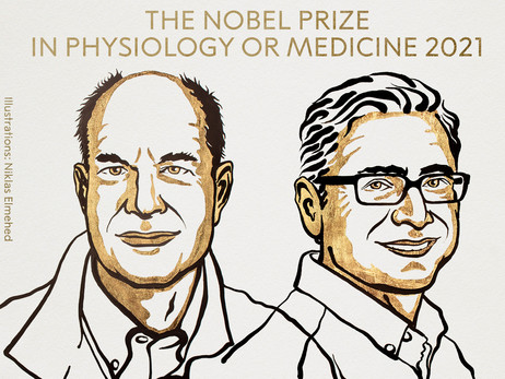 Нобелівську премію-2021 з медицини присудили за відкриття рецепторів температури і дотику