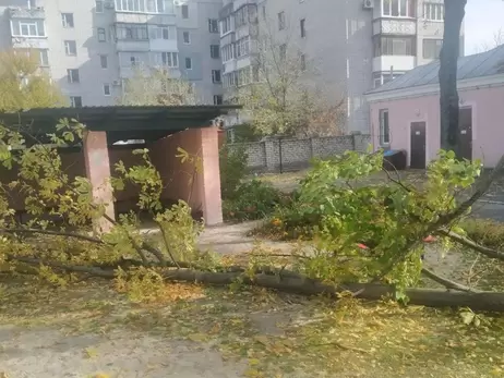 Умерла девочка, на которую упало дерево в детсаду Кременчуга 