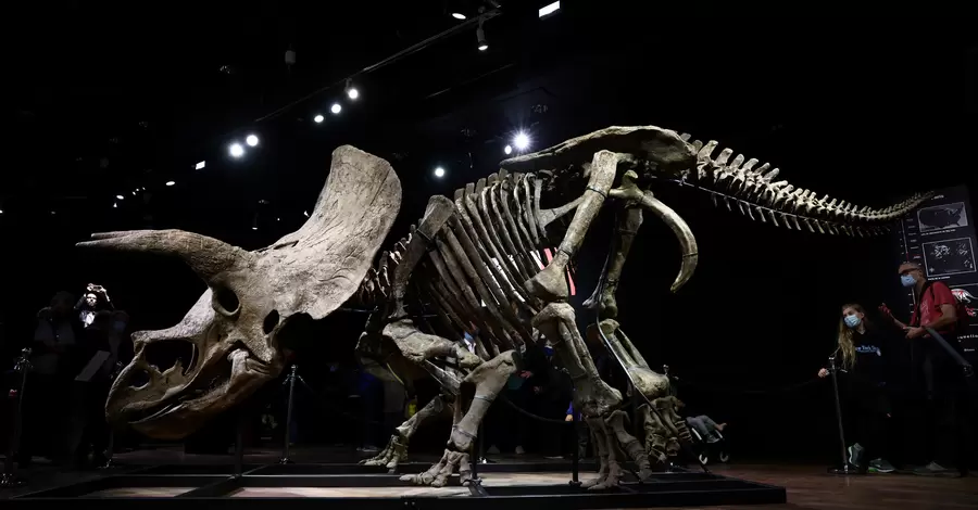 Скелет трицератопса по кличке «Большой Джон» продали в Париже за рекордную цену  