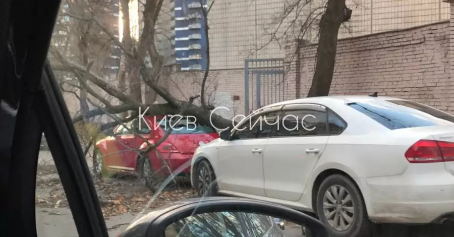 Сильный ветер в Киеве повалил на машины деревья, не стихнет он и в воскресенье