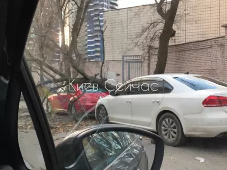 Сильный ветер в Киеве повалил на машины деревья, не стихнет он и в воскресенье
