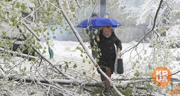 Украину накроют мощные снегопады под аккомпанемент штормового ветра: в каких регионах испортится погода