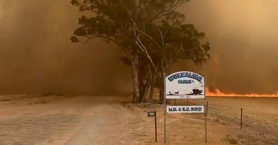 Пожары в Австралии уничтожили более 60 тысяч гектаров леса 