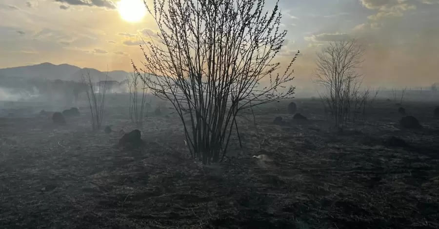 На Закарпатье во время сжигания сухостоя погибли два человека