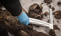 Останки тел из общей могилы в Херсонской области