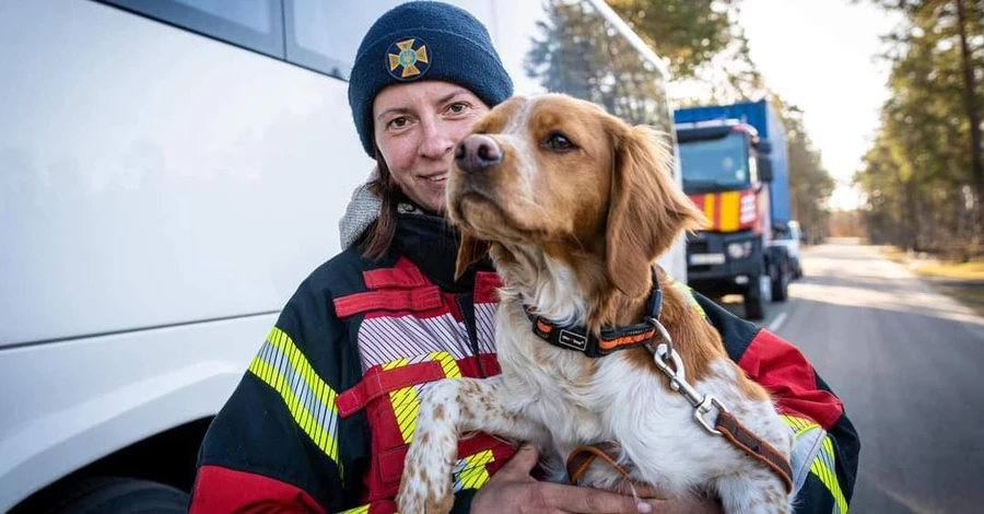 Украинские спасатели и их служебные собаки вернулись из зоны землетрясения в Турции 