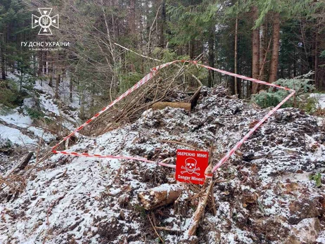 В Николаевской области подросток подорвался на мине