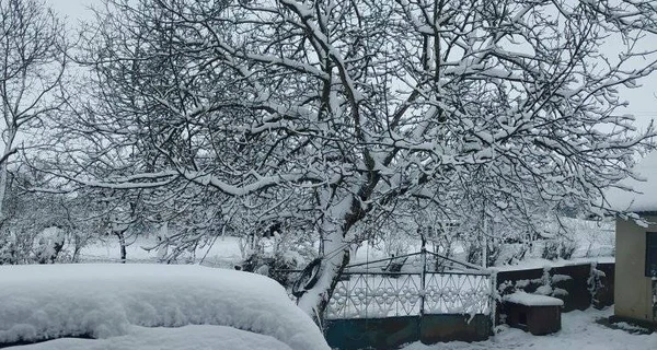 На Україну насувається холодний циклон зі снігом та хуртовиною