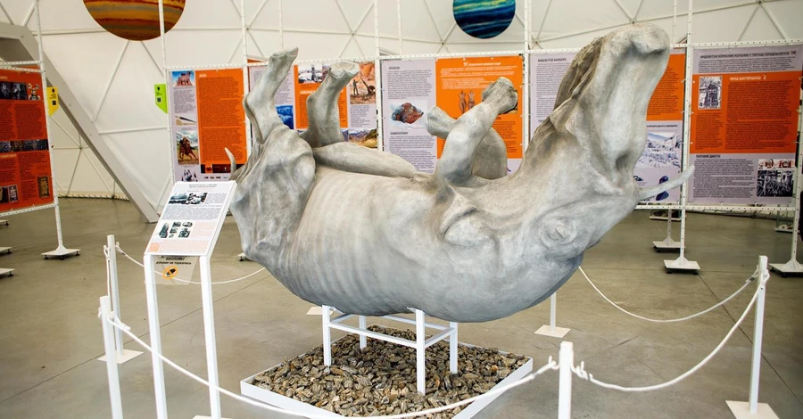 На Прикарпатье презентовали копию мохнатого носорога, который жил 40 тысяч лет назад