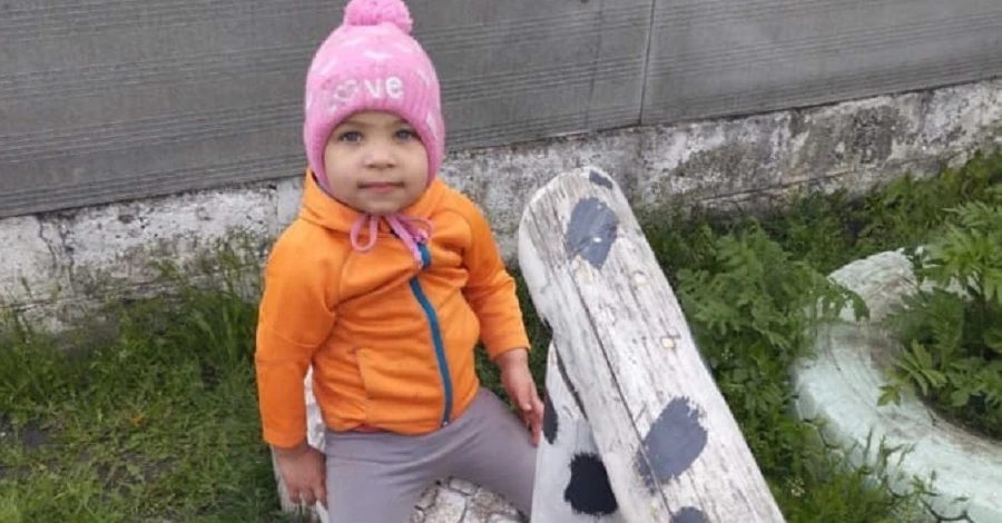 Понад 12 годин на Харківщині розшукують зниклу дворічну дитину