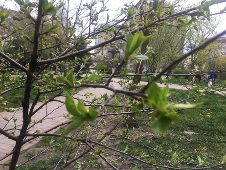 Погода в Украине 30 мая: до 27 градусов тепла
